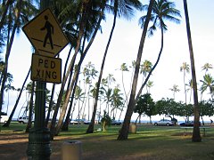 Kailua, Hawaii（03-08-11）