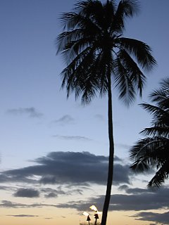 Kailua, Hawaiii03-08-11j